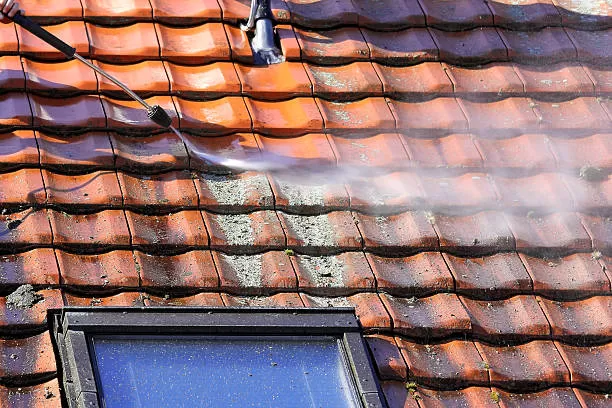Nettoyage de toiture à Bourg-en-Bresse, Bourg-en-Bresse, Lemiere Rénovation Père & Fils